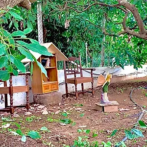 Nature & Paradise Gil Bordon Valsequillo